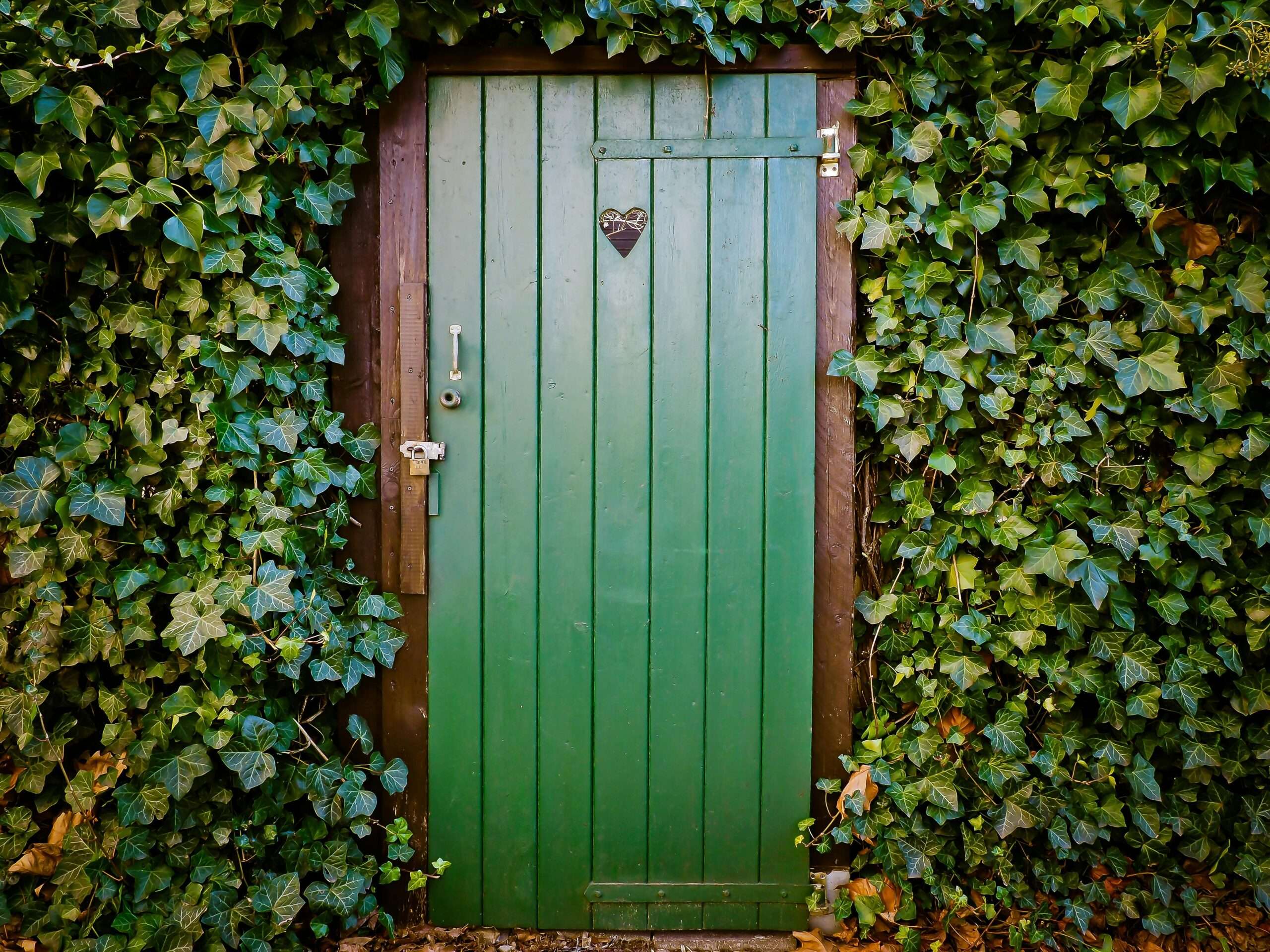 A vibrant green wooden door surrounded by lush ivy, creating a natural and rustic entrance.