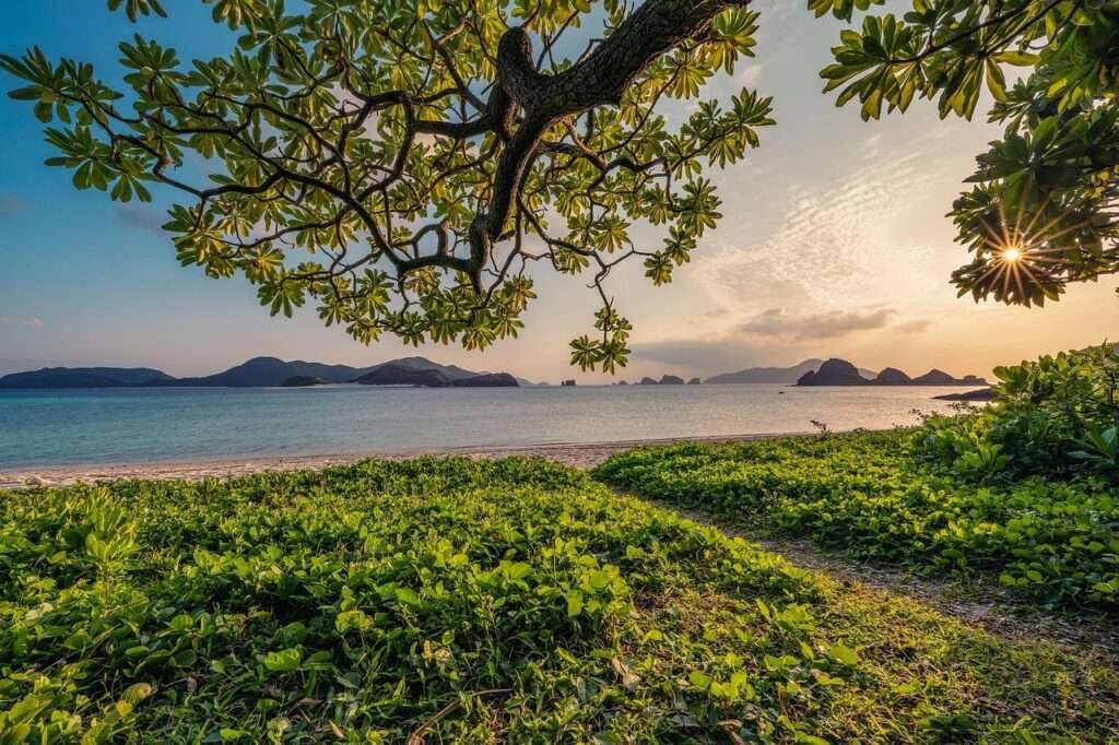 sunset, sand, beach, islands, leaf, beautiful nature, subtropical, okinawa, japan, landscape, hd wallpapers, hd wallpaper, nature background, nature, nature wallpaper